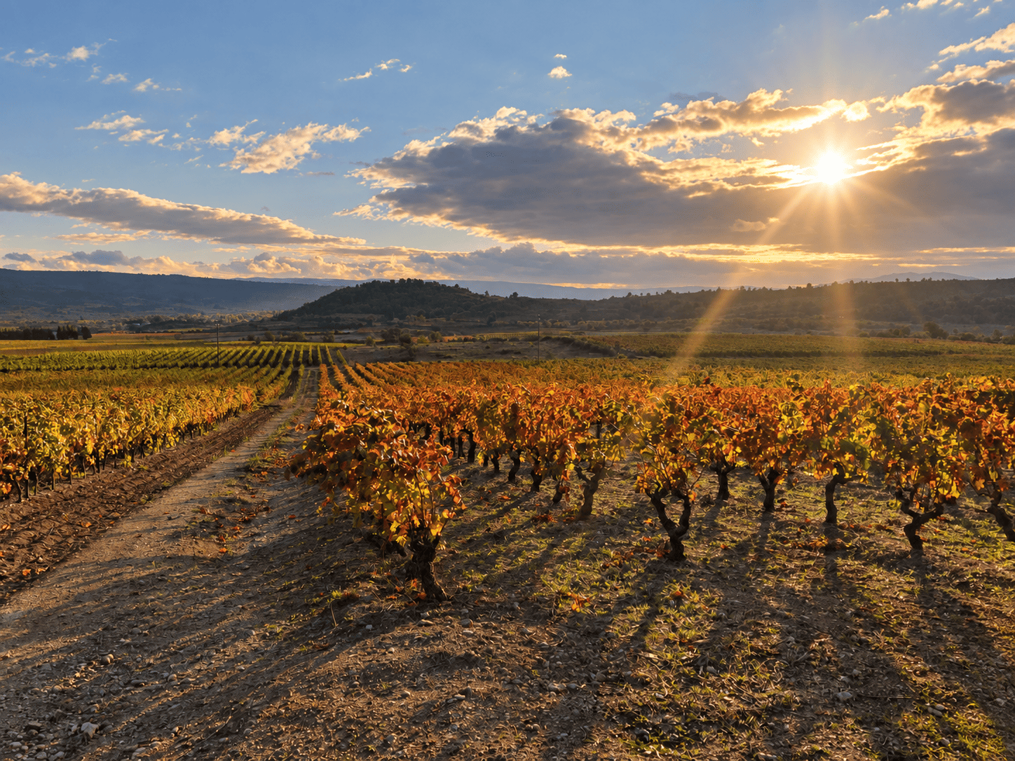 Domaine Lamsoul
