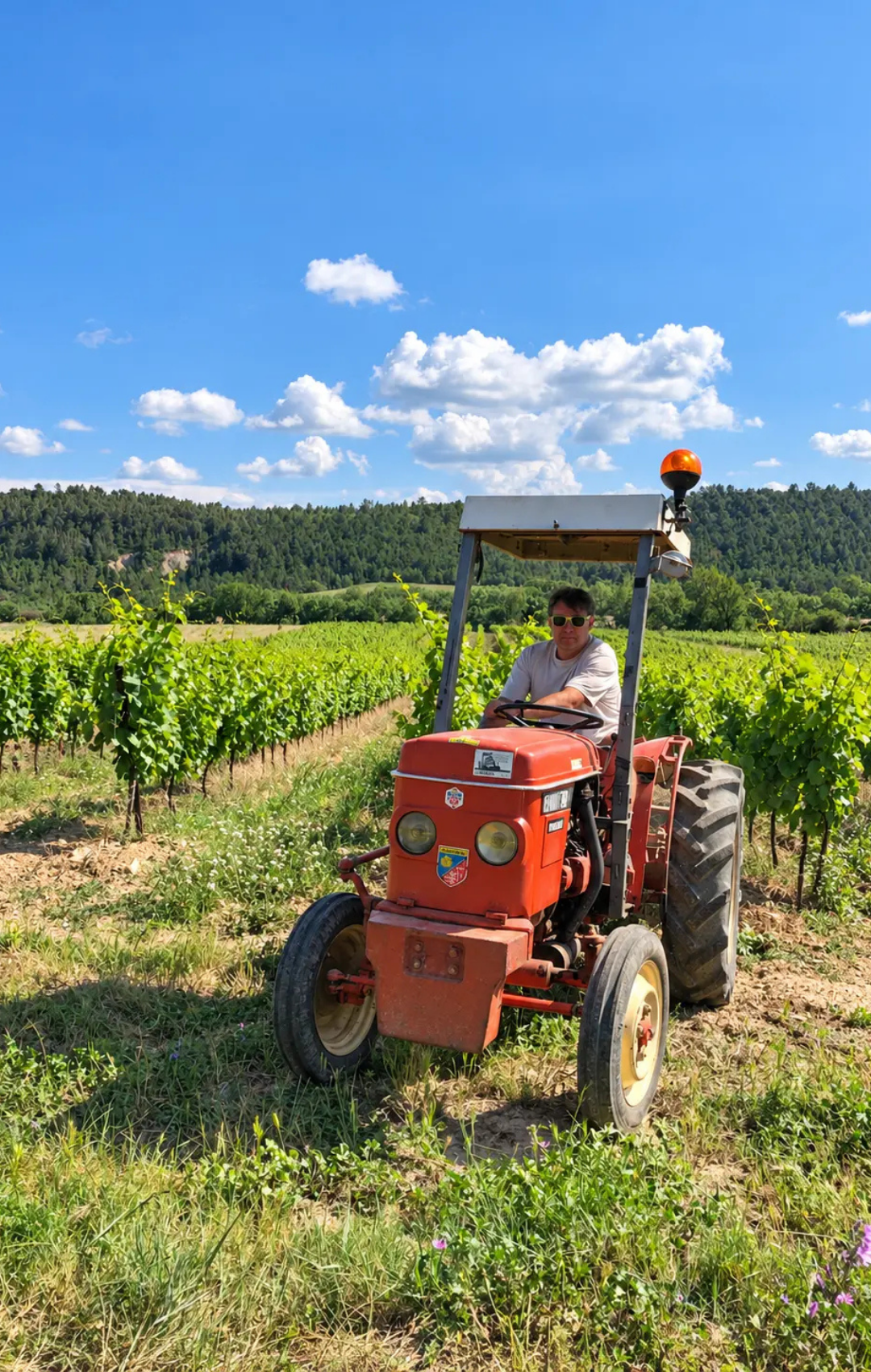 domaine lamsoul